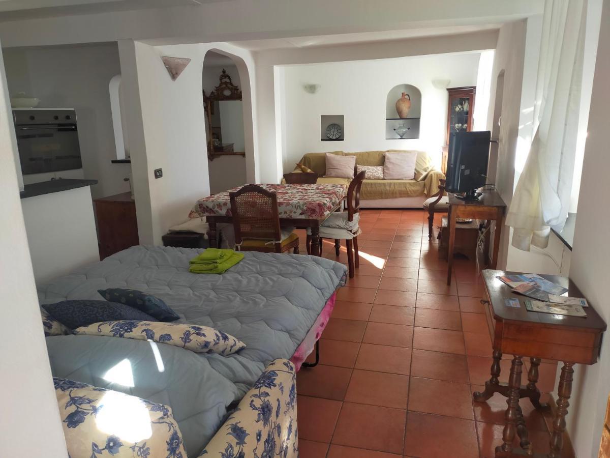 Incantevole Con Giardino Apartment