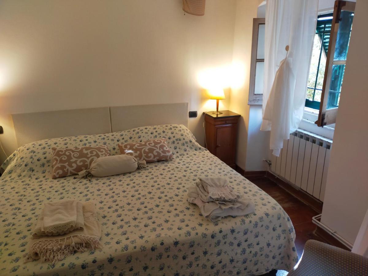 Incantevole Con Giardino Appartamento *